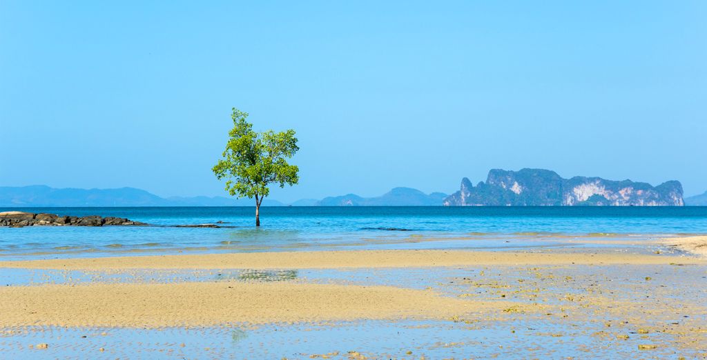 Beyond Patong 4* & The Elements Krabi 4*