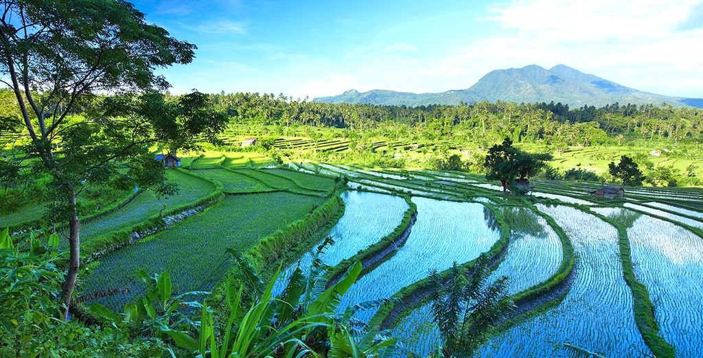 The Mansion Baliwood Resort Hotel & Spa 5* & Ayodya Resort Bali 5*