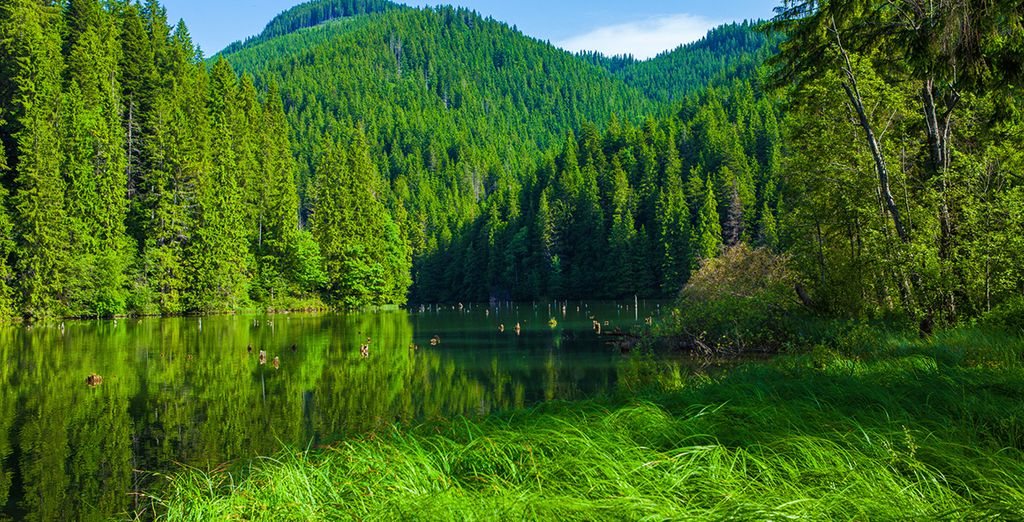 I tesori della Transilvania e della Bucovina