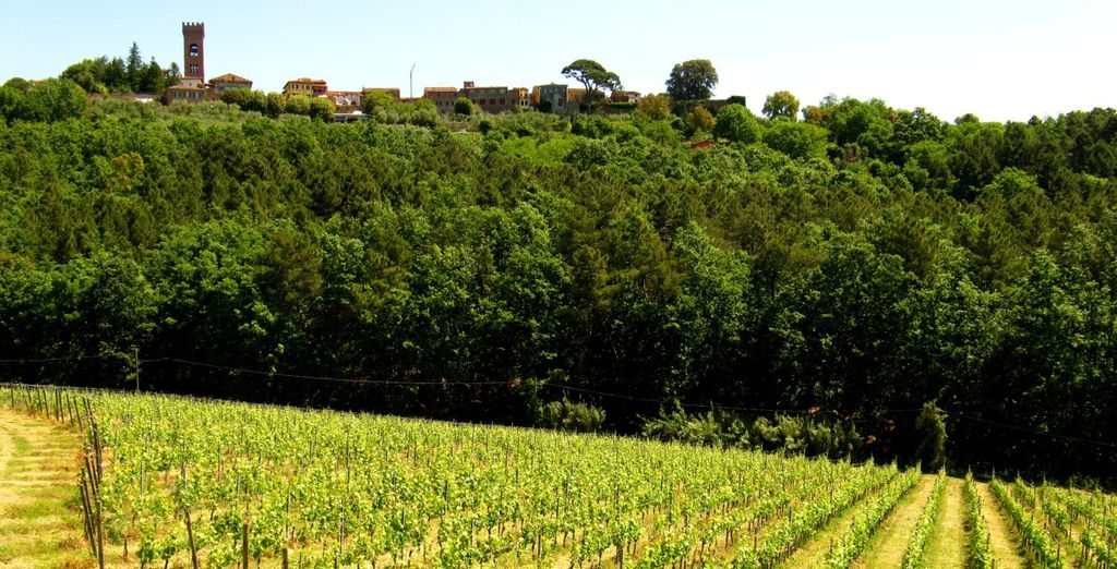Fattoria Borgo La Torre