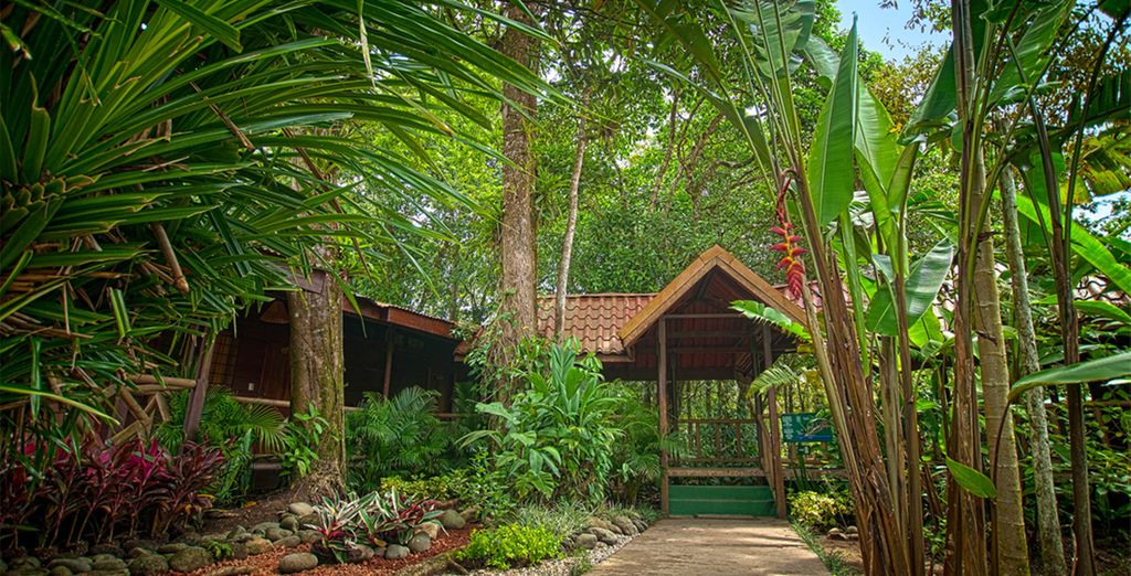 Autotour Costa Rica con estensione mare a Papagayo