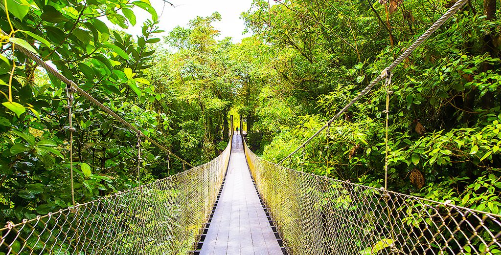 Autotour Costa Rica con estensione mare a Papagayo