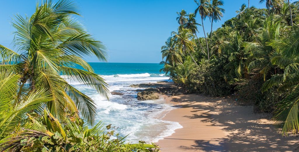 Autotour Costa Rica con estensione mare a Papagayo