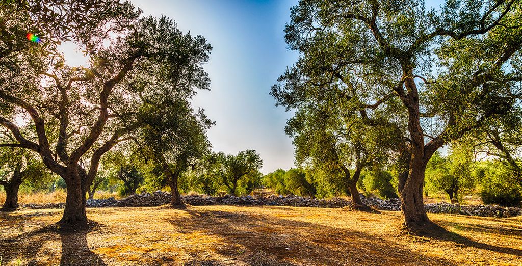 Vinilia Wine Resort 4*