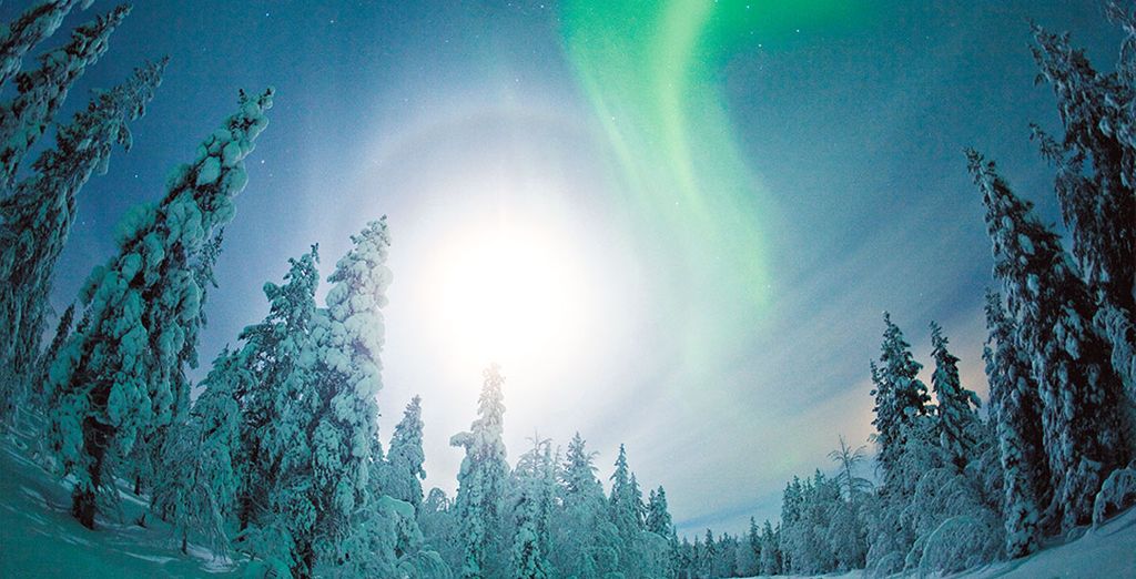Arctic Treehouse Hotel