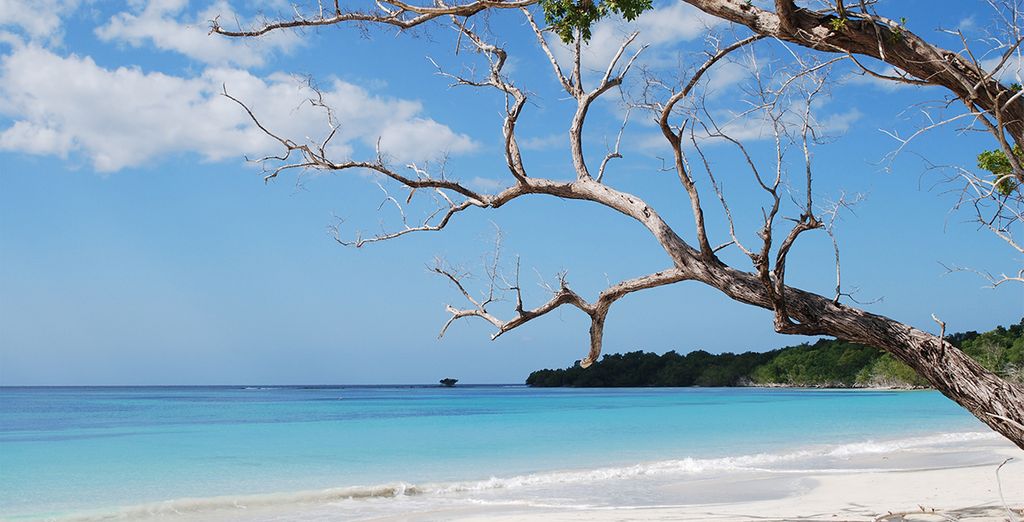 Azul Beach Resort Negril 5*