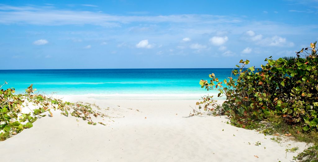 L'Avana, Cienfuegos e Trinidad in Casa Particular + Hotel Valentin Perla Blanca 4*S Cayo S. Maria - Adults Only