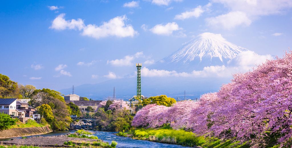 Tour le 3 Perle del Giappone