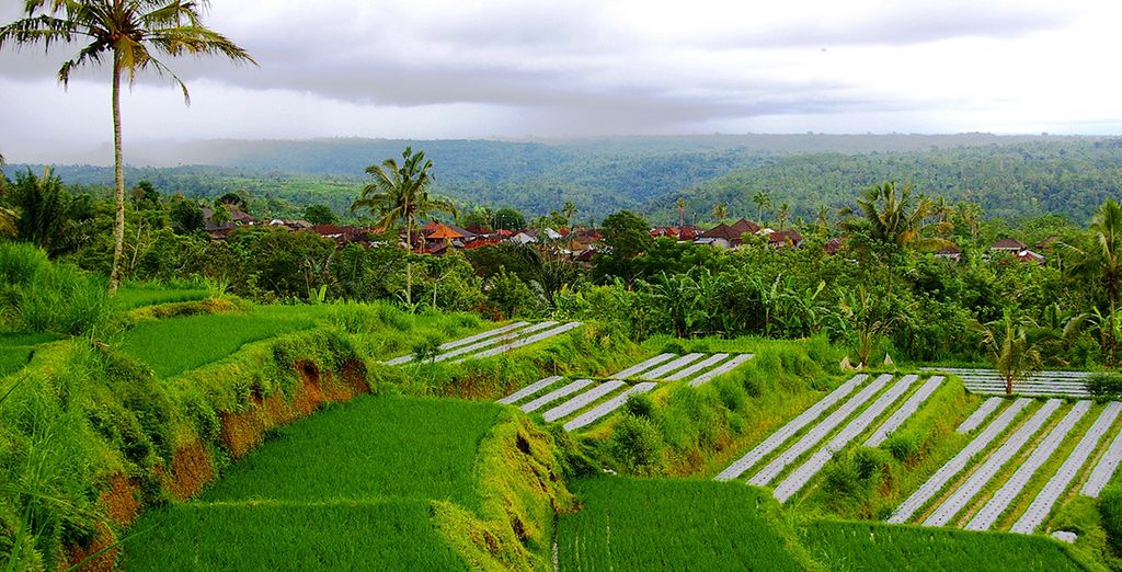 Le perle di Bali: Candidasa, Pelaga, Lovina e soggiorno mare a Kuta