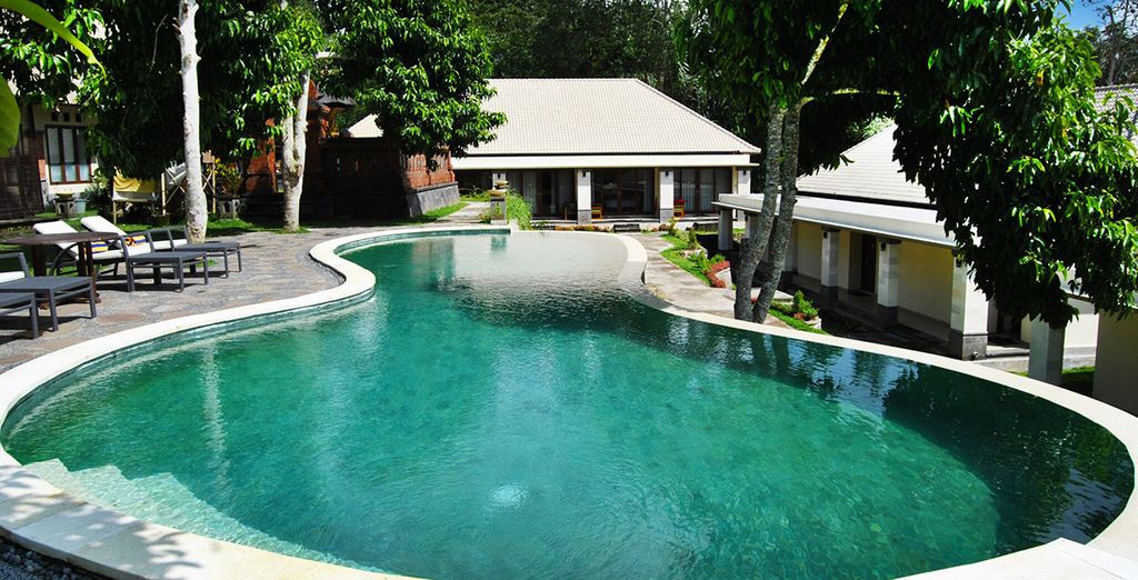 Le perle di Bali: Candidasa, Pelaga, Lovina e soggiorno mare a Kuta