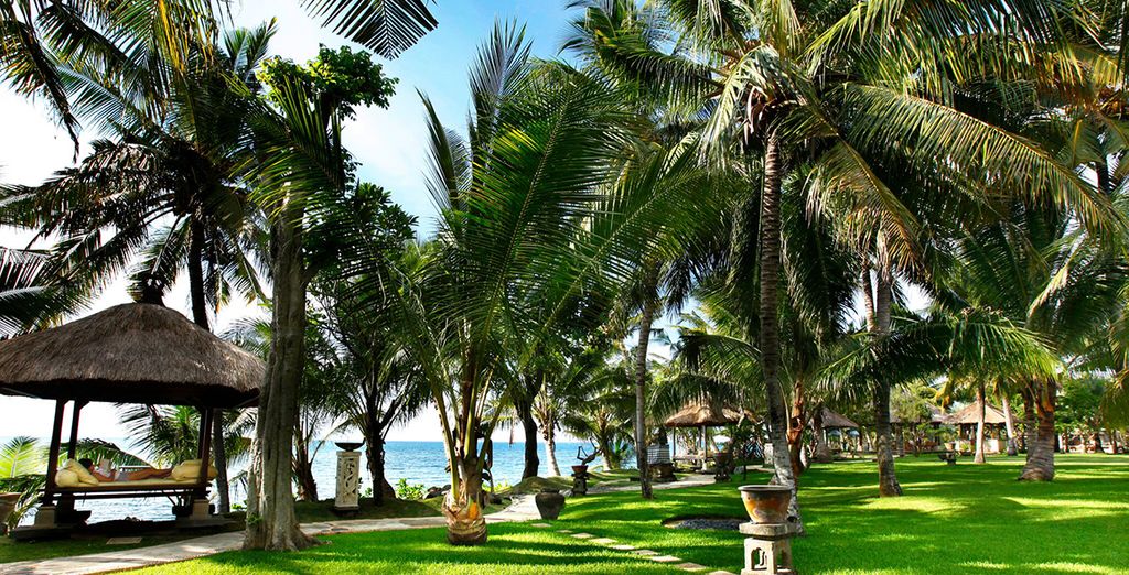 Le perle di Bali: Candidasa, Pelaga, Lovina e soggiorno mare a Kuta