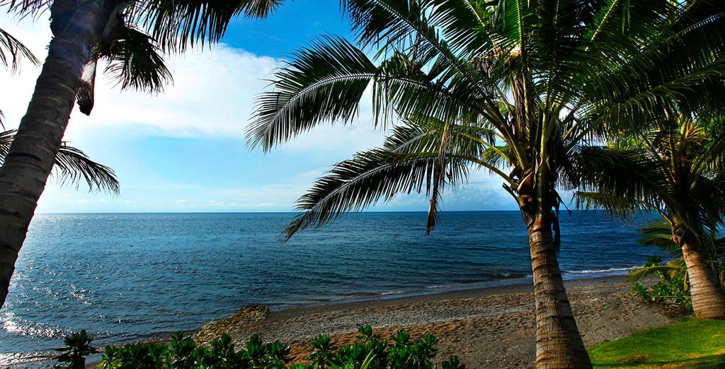 Le perle di Bali: Candidasa, Pelaga, Lovina e soggiorno mare a Kuta