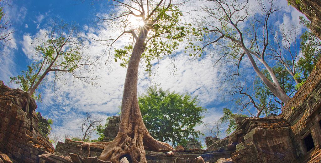 Tour privato il fascino nascosto del Vietnam e della Cambogia
