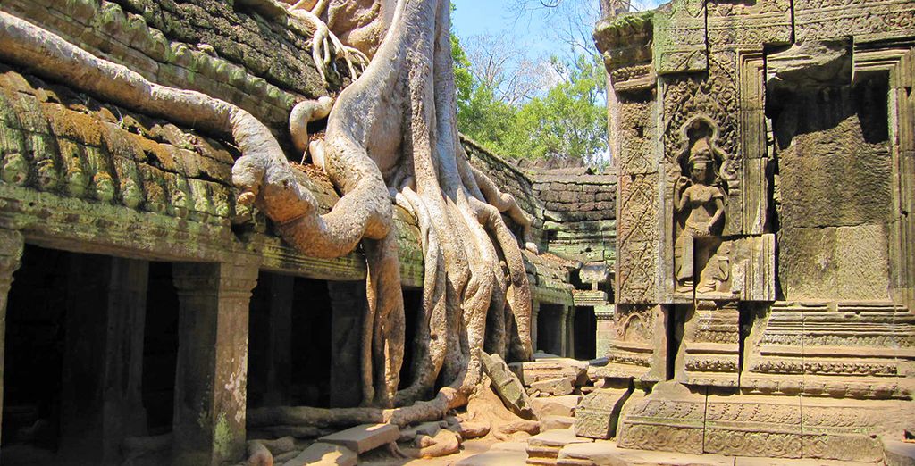Tour privato il fascino nascosto del Vietnam e della Cambogia