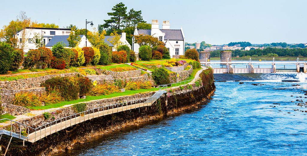 Tour di 5 o 7 notti in Irlanda con noleggio auto incluso