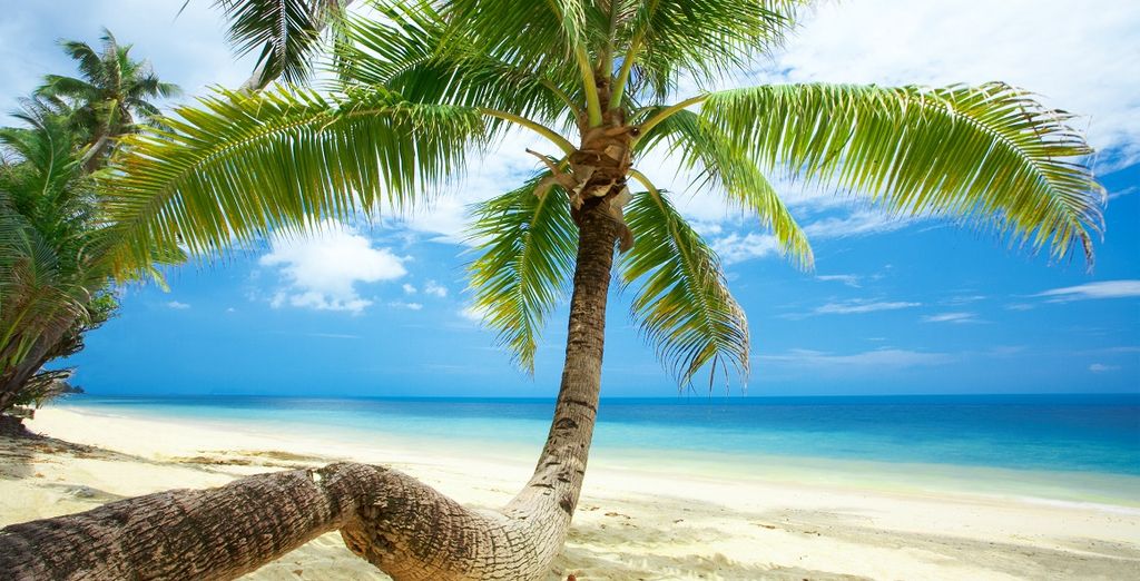 Bangkok + Tour Nord e Koh Samui 