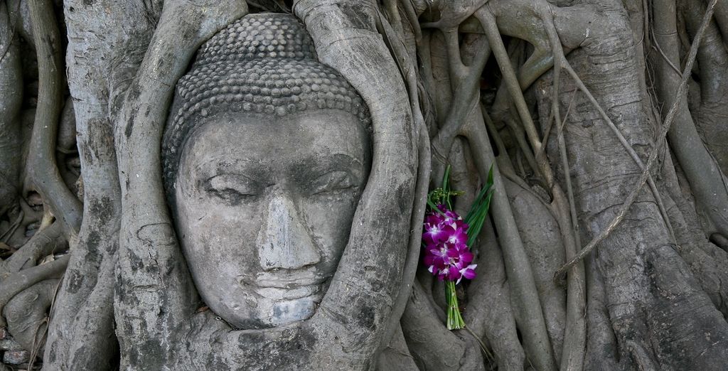 Bangkok + Tour Nord e Koh Samui 