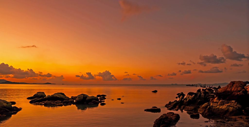 Bangkok + Tour Nord e Koh Samui 