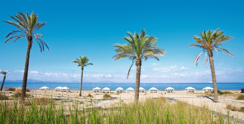 Grecotel Olympia Oasis and Aqua Park 5*