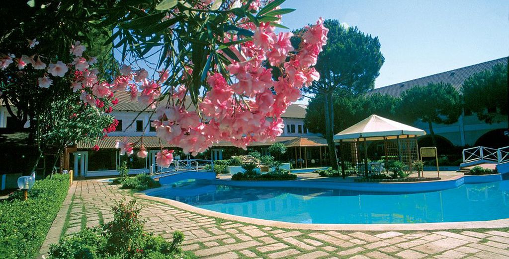 Club Marispica