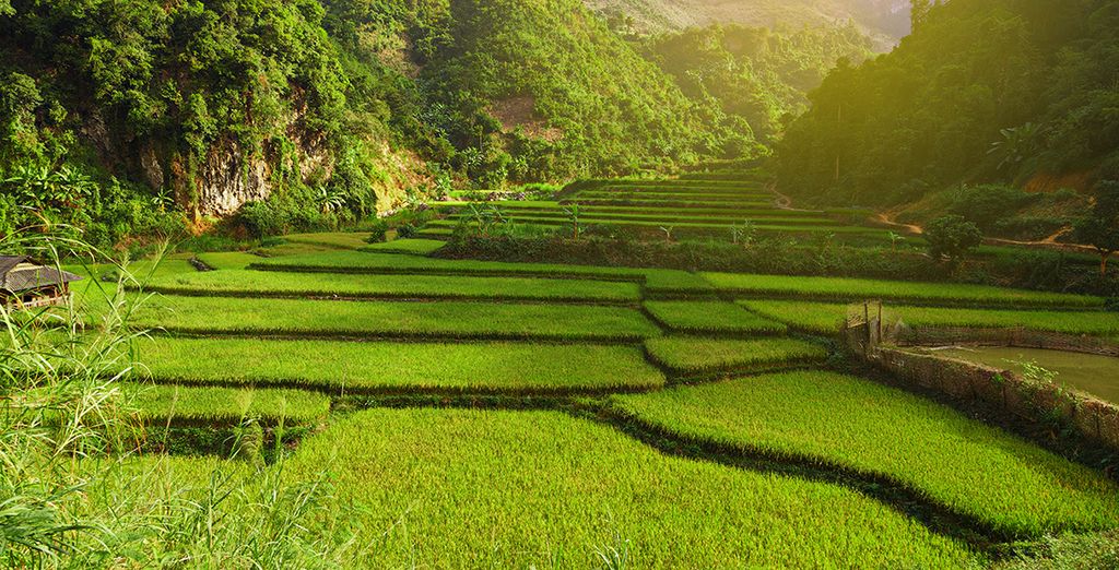 Tour privato in Vietnam alla scoperta del Tonkin