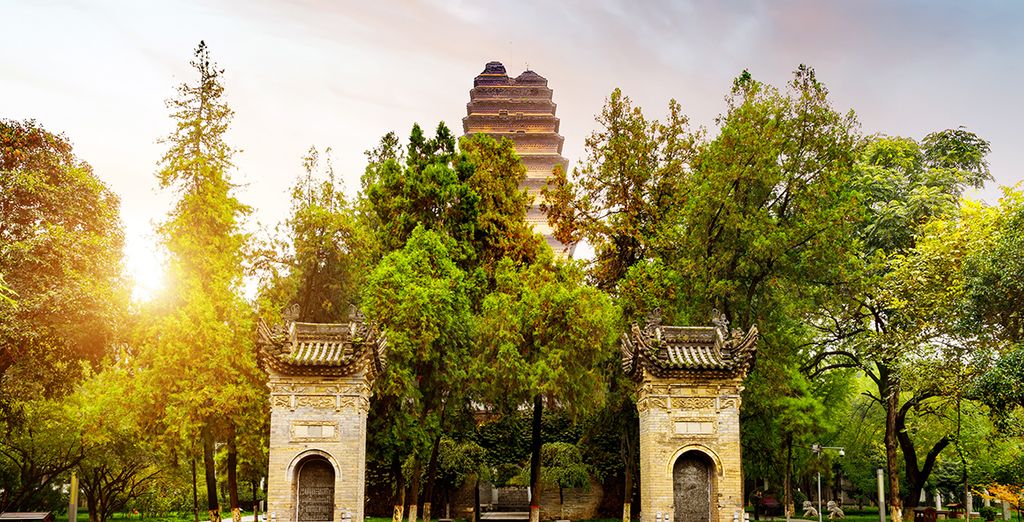 Tour della Cina e delle montagne di Avatar