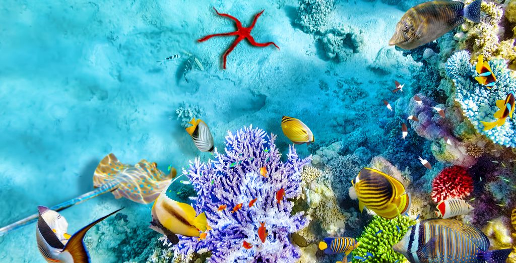Crociera sul Nilo e Palm Beach Resort Hurghada 4*