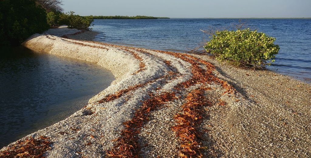 Tour del Senegal Eco sostenibile