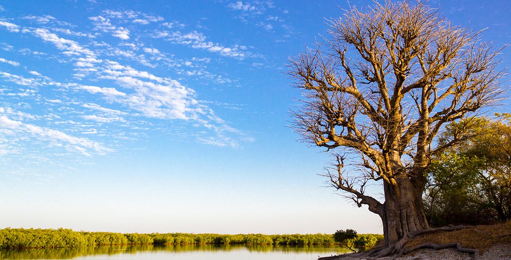 Tour del Senegal Eco sostenibile