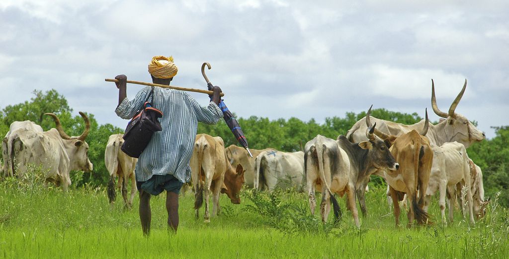 Tour del Senegal Eco sostenibile