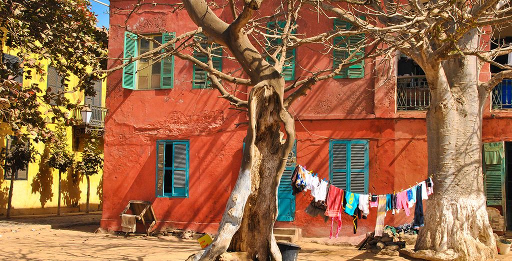 Tour del Senegal Eco sostenibile