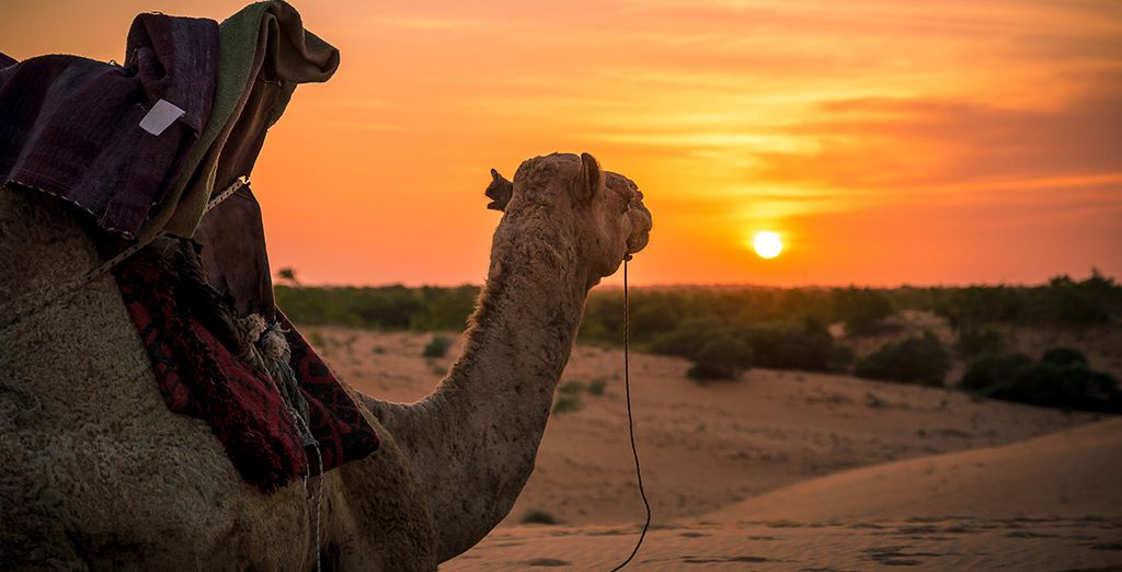 Tour del Senegal Eco sostenibile