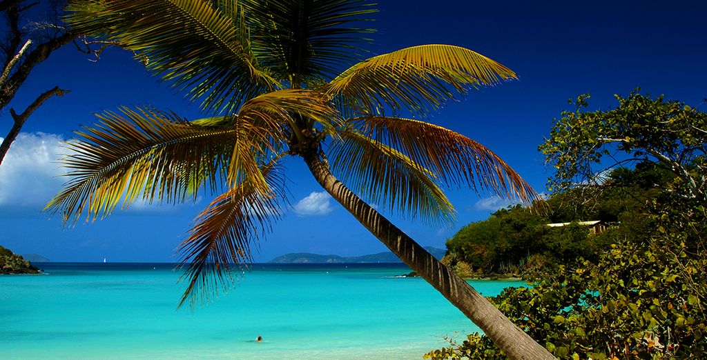 Tra Antille e Isole Vergini in Veliero Windstar 