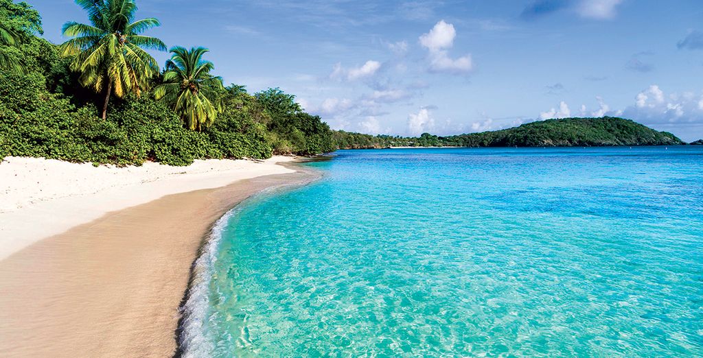 Tra Antille e Isole Vergini in Veliero Windstar 