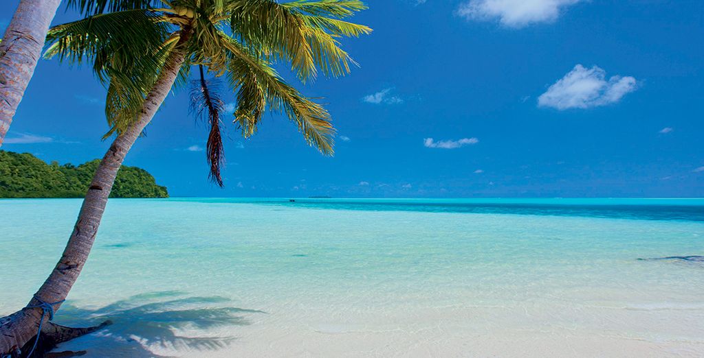 Tra Antille e Isole Vergini in Veliero Windstar 