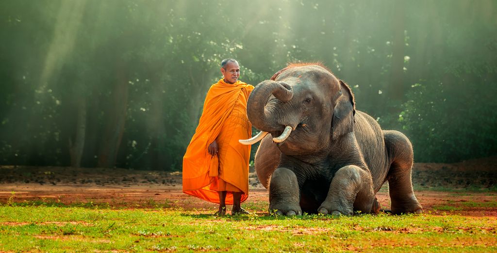 Vietnam in libertà con possibile estensione in Cambogia
