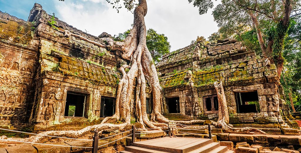 Vietnam in libertà con possibile estensione in Cambogia