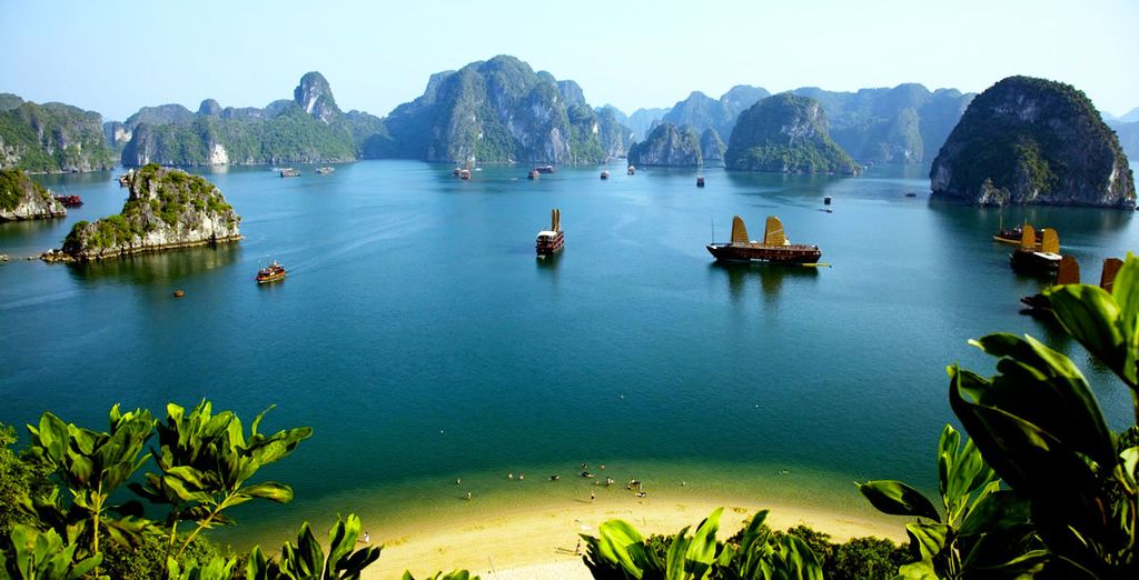 Vietnam in libertà con possibile estensione in Cambogia