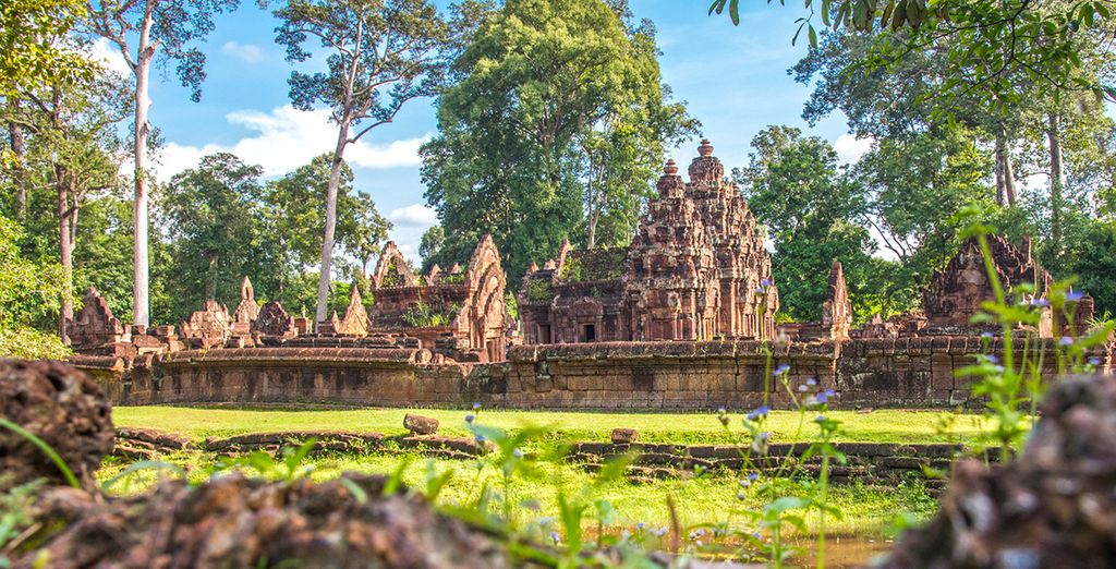 Vietnam in libertà con possibile estensione in Cambogia