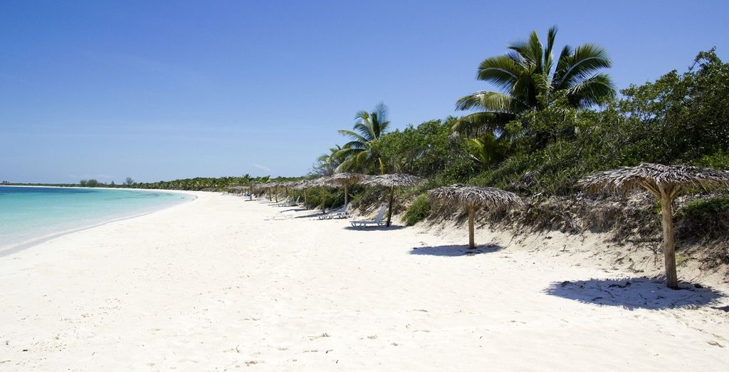 Tour in Casa Particular + Dhawa Cayo Santa Maria 4*S