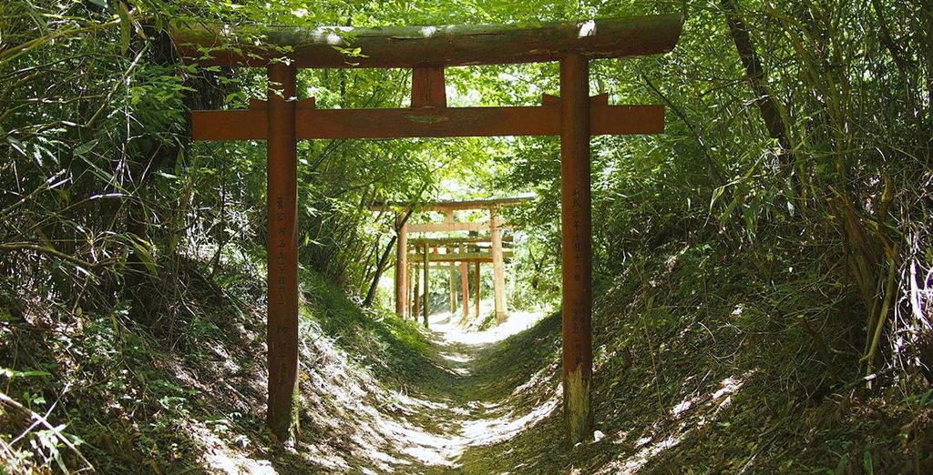 Tour del Giappone tra città e campagna