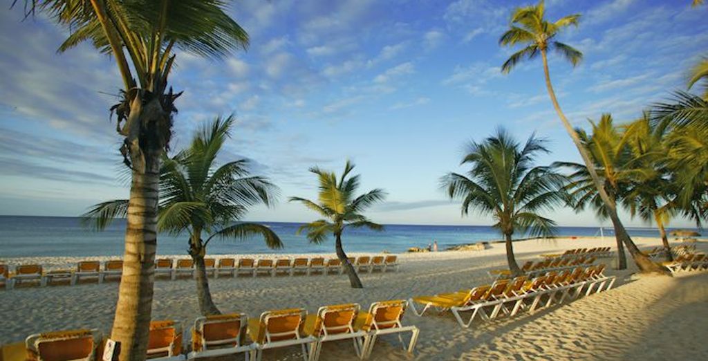 Viva Dominicus Palace 4*