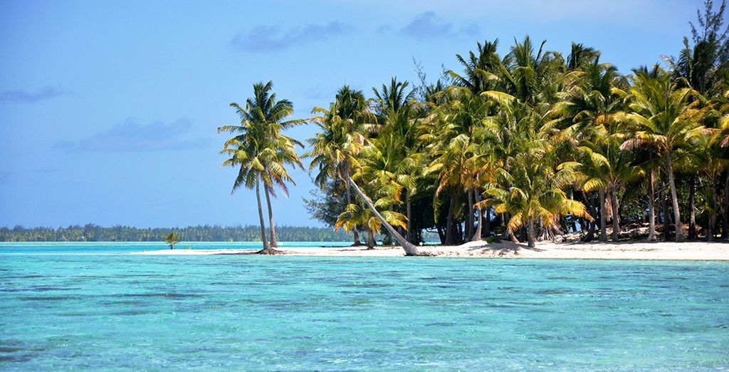 Crociera in veliero tra le isole della Polinesia Francese