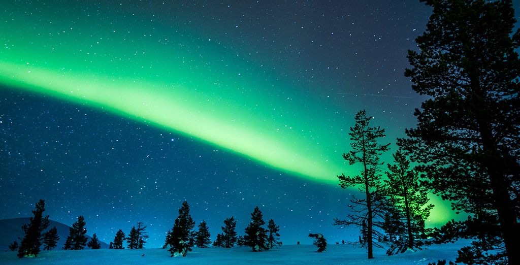 Tour dell'aurora boreale e pernottamento in un Igloo di vetro