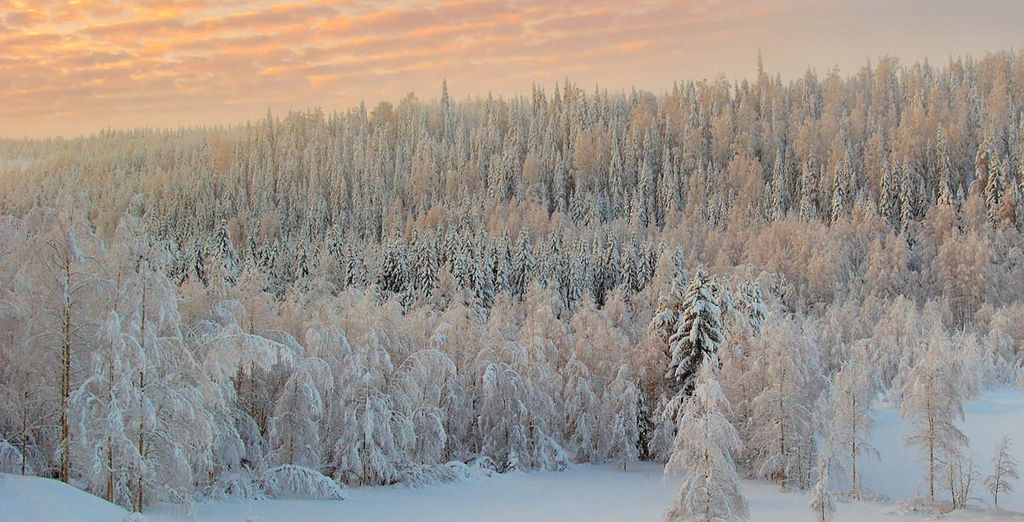 Tour dell'aurora boreale e pernottamento in un Igloo di vetro