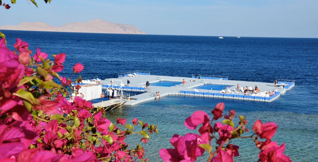 Domina Coral Bay King’s Lake 5*