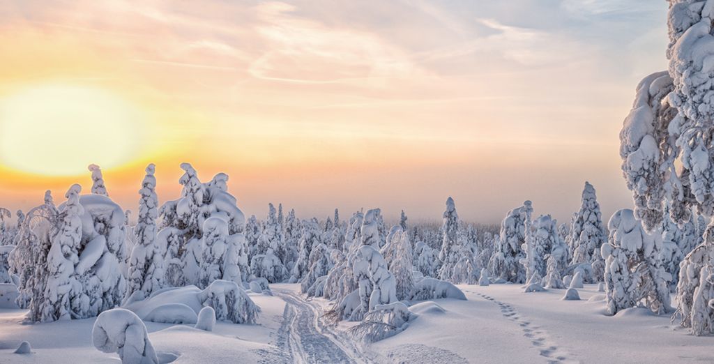 Finlandia in treno con pernottamento allo Snow Hotel