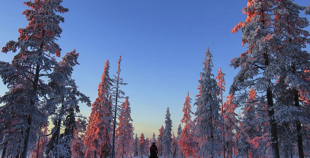 Finlandia in treno con pernottamento allo Snow Hotel