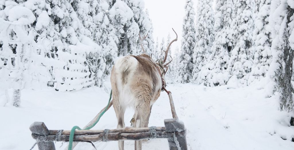 Finlandia in treno con pernottamento allo Snow Hotel