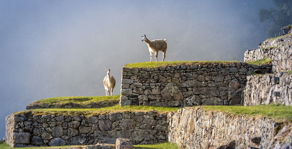 Tour panoramico del Perù con guida parlante italiano